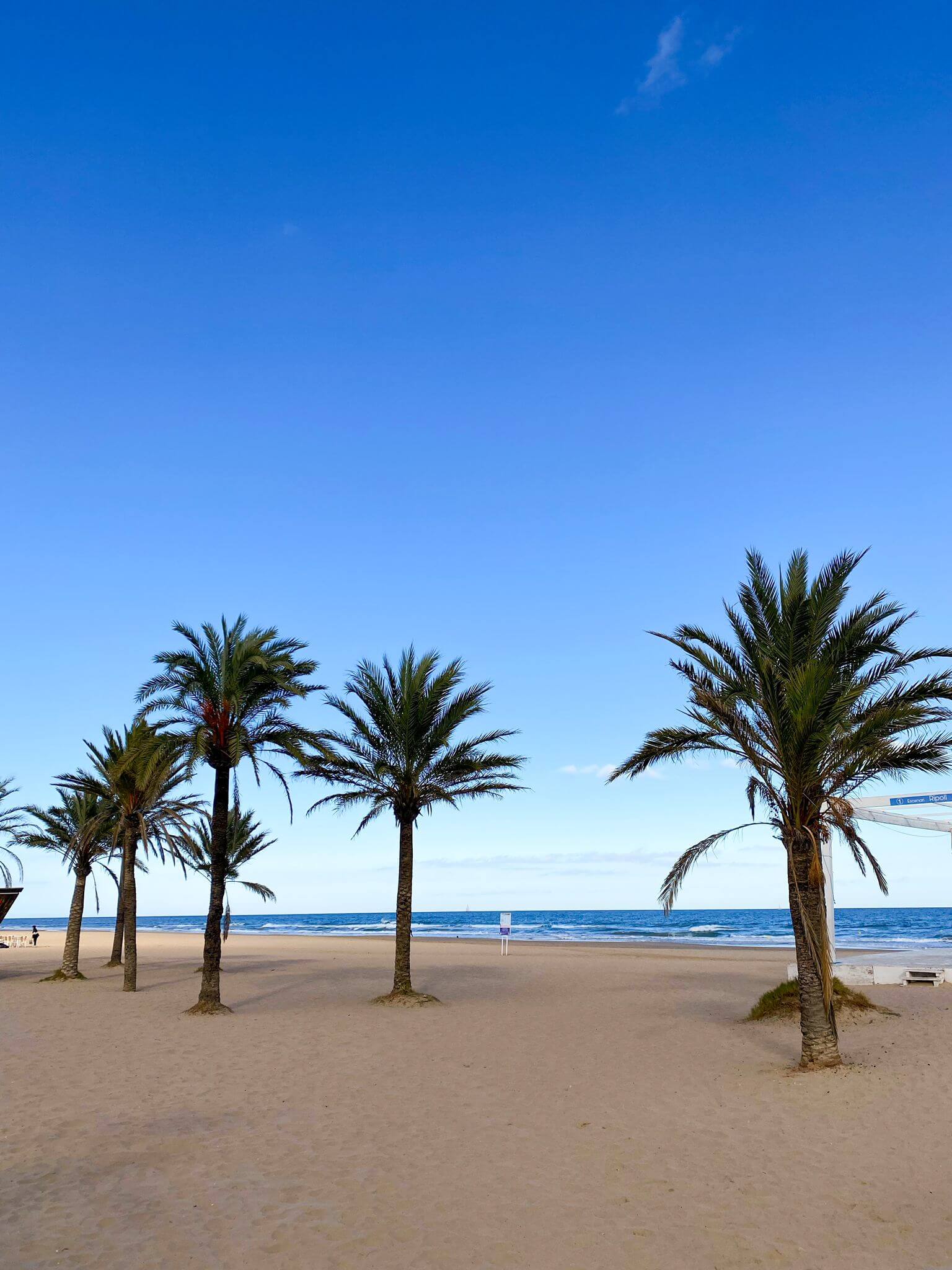 How to travel almost for free in Spain this summer